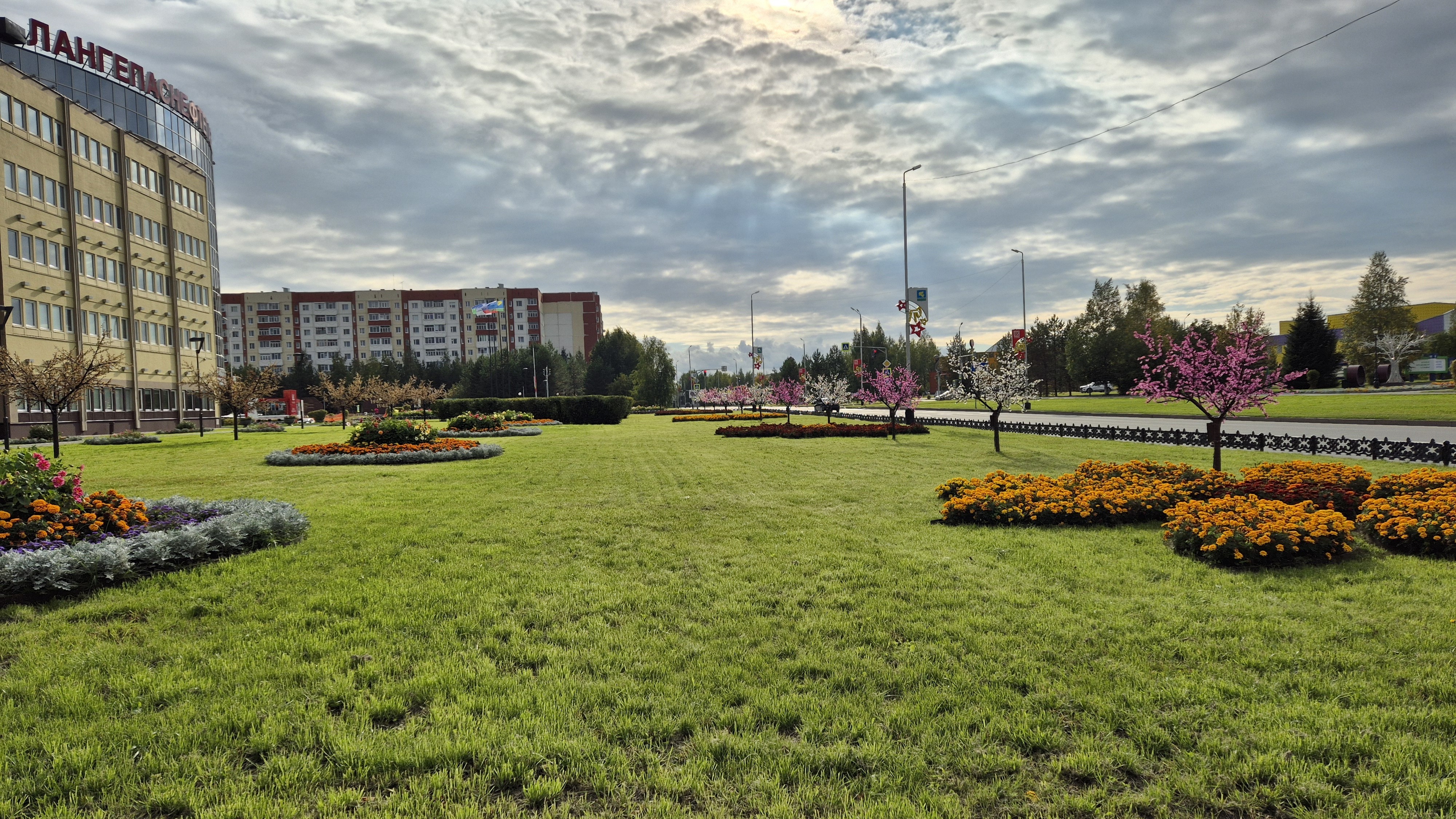 Здесь мы живём, учимся, взрослеем