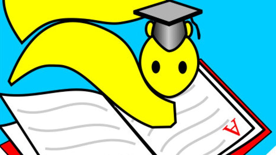 Символика организации